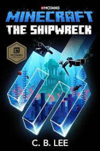 Minecraft the Shipwreck